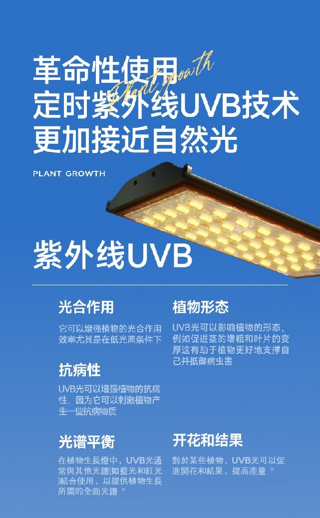 PMS Supervital MAX版 QBLC(UV/IR)+UVB 量子板