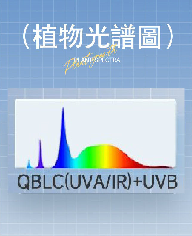 PMS Supervital MAX版 QBLC(UV/IR)+UVB 量子板