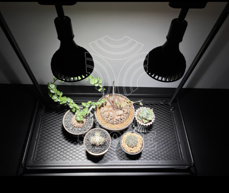 PlantMilestone大植物架-無水盤款