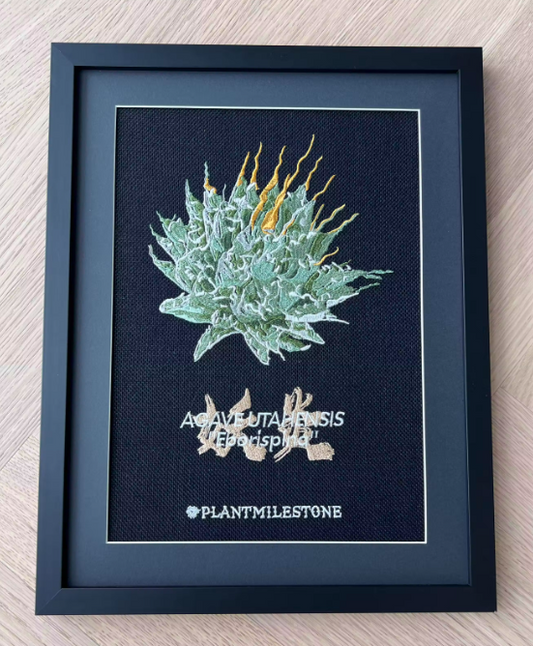 PlantMilestone 龍舌蘭刺繡畫(妖炎)